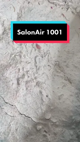 Cleaning the Salon Air 1001 #StemDrop001 #salonair #vodexbeautyextraction #vodex #hygiene #CleanTok #cleaningtiktok #cleaning #education #dust #honeybunnybeauty #dustextractor #dustextraction #extractor #nail #nails #nailtech #nailcleaning #nailcleaner 