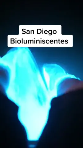 This plankton makes the ocean glow #plankton #glow#ocean #foryoupag 