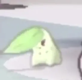 Respuesta a @el_venezolano145 acá tienen la plantilla #chikorita #pokemon #pokemonmemes #fiestapaga #magodeoz 