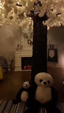 وعاد نوفمبر.. بِأُمسياته الخادرة وأغنياته القديمة و صباحاته الباردة والأنيقة 💛🍁 اكسبلور #الأول_من_نوفمبر #مواليد_نوفمبر #نوفمبر #november #november2022 