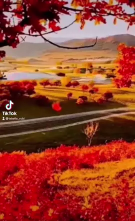 #bienbenido #noviembre#