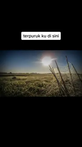 terpuruk ku di sini #viral #fyp #katon #lagulama #lagusantai