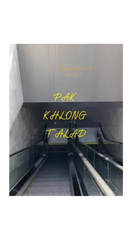 ปากคลองตลาดที่แปลว่าไม่ได้ไปซื้อดอกไม้ แต่แค่เดินผ่าน ผ่าม!!! #Vlog #ปากคลองตลาด #ตลาดดอกไม้ #pakkhlongtalat #flowers #fypシ #ฟีด 