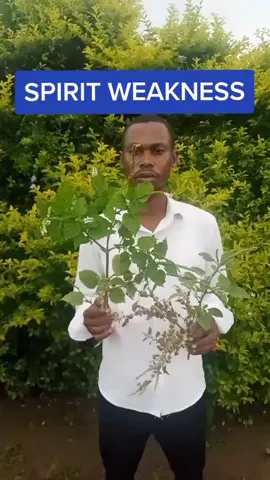 SPIRIT WEAKNESS#viral #lose #viralvideo #fyp #kellyoubre #kelly #herbal #loserschallenge #lose