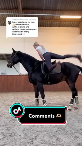 @Malin antworten no problem 😎🫡 IG:annchen.augustine #fy #foryou #equestrian
