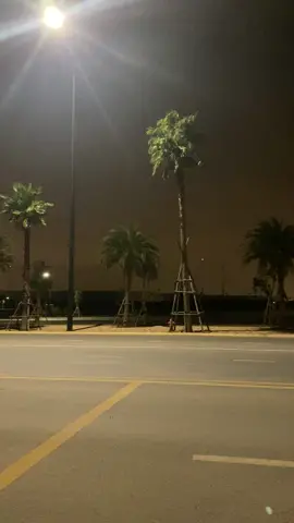 Liebherr LG1750 1000tấn #vietranstimex #diengio #phanthiet 