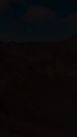 Fatir 27 #Danmark #Dansk #Muslim #Islam #Koran #Fyp