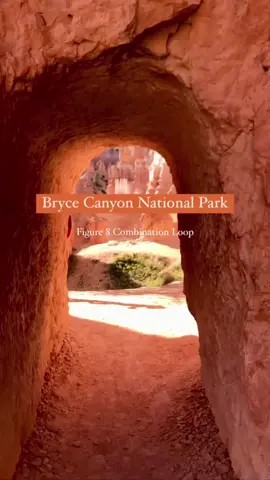 📍Bryce Canyon National Park  The figure 8 combination loop hike!   It's made of these trails done clockwise: - Sunrise Point to Queen's Garden Trail  - Take Peek-a-Book Loop Trail clockwise  - Take Navajo Loop Trail up Wall Street  - Finish at Sunset Point   Have you ever done it?   @theazhikeaholics #BryceCanyon #Figure8Loop #Hiking #Travel #Glamping 
