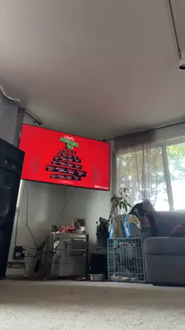 Nov 1🎄😈 #christmanevelskz #november1st #feliznavidad #straykids #jypentertainment #kpopfyp #foryou @Stray Kids @straykids_japan @J.Y. Park @JYP Entertainment 