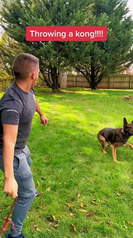 My new training buddy!!! #recovery 