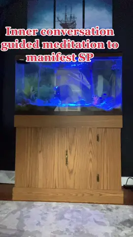 Guided meditation to manifest a specific person ##meditatio ##manifestaspecificperson  