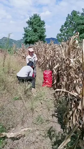 Funny’s 🤣🤣🤣 #funnyvideos #funnymoments ##funnyfail #bestfunny2022  #comedyclub #funnyshorts #viral #funnyvideo2022 #comedy 
