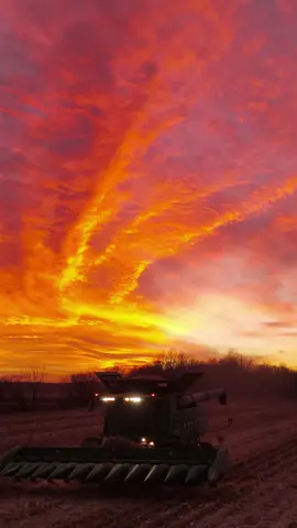 the end is near #harvest22