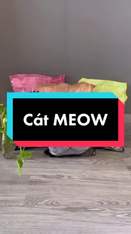 Cát mèo Meow #reviewcatmeo ##toppetshop##tiktokshop##catmeo##catmin##reflex