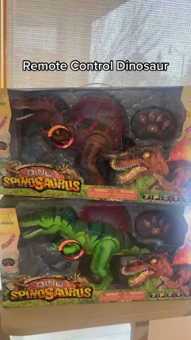 Remote Controlled Dinosaurs! Walk your T-Rex or Stegosaurus all around your house! This Dino also loves to dance & play music! Available in store or online walkonwater.com