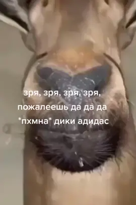 да