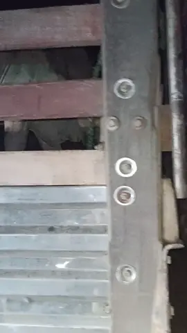 Nos cogió la noche desembarcando el ganado #ganado #animal #viral #finca #rancho 
