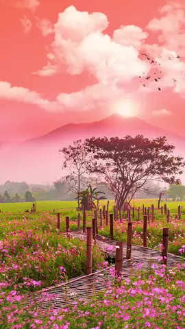 Tìm chút Bình yên quê nhà - Live wallpaper landscape P.1 #videowallpaper #tamtrang #background #livewallpaper #livevideowallpaper #livevideo #wallpapers #landcape 