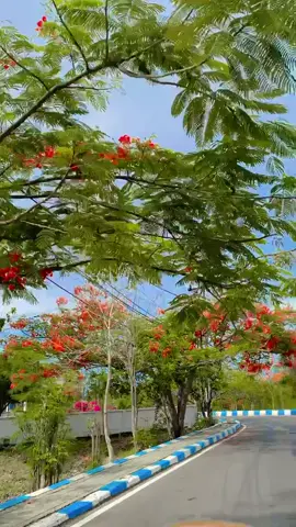 Desember su dekat🥺 #sepe #tiktokkupang #comingsoon️ #christmas #fyp 