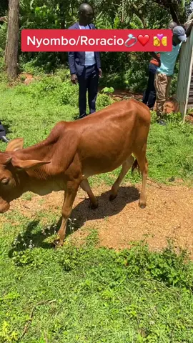 The kind of marriages we all pray for💍❤️👩‍❤️‍💋‍👨@kibandasky @officialmito @beverlyn_davids @leon_heart @nginjam7n @otengajnr @bruzzwillis1 #fyp #luosongs #solidadtemple #viral #roracio #luo #luonation #foryou #viral #nyanza #trending #viralvideo #nyomboceremony 