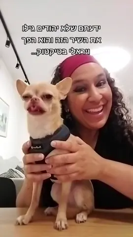 אבל למה החזקתי אותה ככה😆#ירושליםהריםסביבלה #פרחימיאמי #פרחיירושלים #הכלבהשלי 