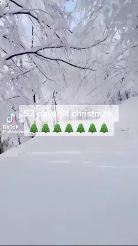 #countdowntochristmas #christmas #2022 #christmascountdown2022 