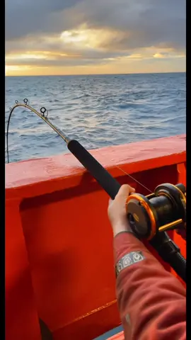 🎣🎣#halibutfishing #normandferking #viralvideo #fyp #epic 