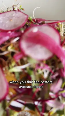 the sprouts were a bit...muddy though. #avocadotoast #avocadotoastwithegg 