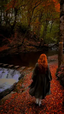 Autumn moments in Northern Ireland 🍂🍁  Tollymore Forest Park is one of the most beautiful places to visit in Northern Ireland in the autumn. The colours were incredible! In the forest park you’ll find plenty of unique bridges and structures amongst the woodland and it’s really the perfect place to seek out peace and quiet in the midst of a packed travel schedule (at least - it was for us!) 🍂  📍Tollymore Forest Park, Newcastle, Northern Ireland #northernireland #northernirelandtiktok #irishtiktok #irelandtiktok #autumnvibes #autumnaesthetic #fallaesthetic #visitnorthernireland #traveltok #traveltok #darkacademiaaesthetic #uktravel #uktravelblogger #traveltips #travelguide #tollymoreforestpark 
