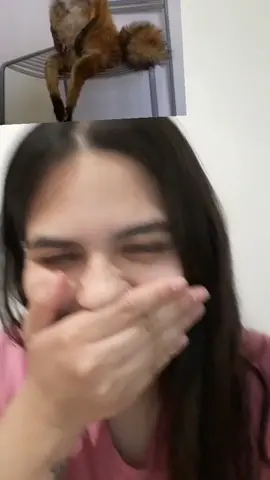 la cara de estoy en época de finales