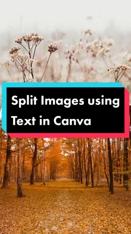 Split 2 images using text in Canva. Saw this in a group and decided to create my own version. #canvadesign #canvadesigner #canvacreator #canvahacks #canvatutorials #canvatips #designhacks  #designwithme #designprocess #designtips #canvatips #socialmediamanager #graphicdesigner #graphicdesigners #freelance #freelancers #freelancelife #LearnItOnTikTok #eduwow #eduwowph 