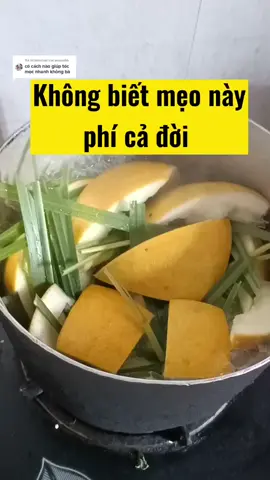 Trả lời @yeucon96 đừng bảo sao tôi không chỉ sớm nha. tóc mọc tua tủa, hết gãy rụng,sạch gàu óng ả bồng bềnh mà cực kỳ an toàn hiệu quả, ce đã thử chưa??