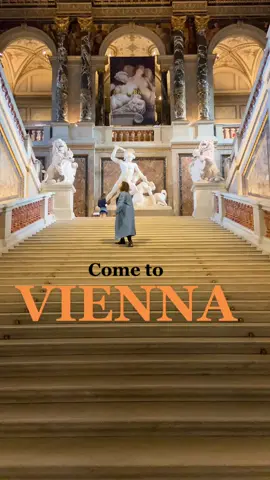 A quick tour of Vienna, Austria 🇦🇹 #europetrip #europetravel #austriaguide #belvedere #viennaguide #traveltips #viennawaitsforyou #travelbucketlist 