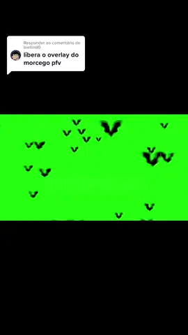 Respondendo a @biellind0 aqui!! #overley #morcego #halloween #fundoverde #liberando 