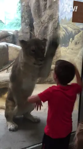 Who's faster lol #fyp #funnyvideos #funny
