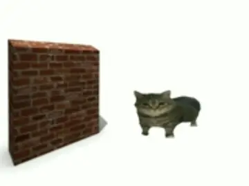 nOOOOO 😭 #foryou #goofyahh #thiccCat69 #cat #viral #fypシ #fyp #ohio 