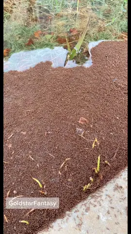 Definitely not a hint, 10 more days!