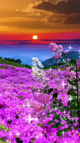 #cancionescristianas #espera el tiempo de Dios! ❤️