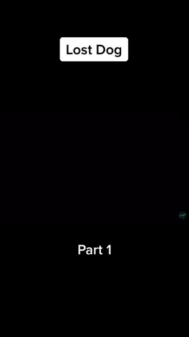 guy leads friend into the woods | part 1 #movie #clips #movieclips #GenshinImpact32 ##meme 