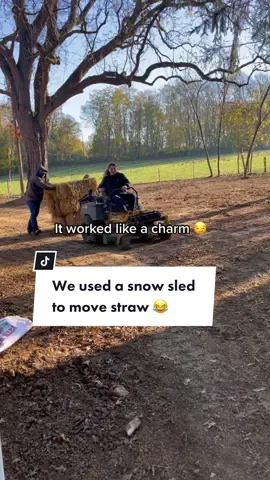 It saved us so much time and energy! 🤠 #innovation #sled #creative #lawnlife #landscaping #hustler #makinmoney 
