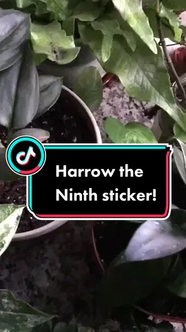 This will break my heart every single time 😢🖤 #harrowtheninth #stickershop #gideontheninth #gideontheninthfanart #BookTok #nonatheninth #harrowharknonagesimus 