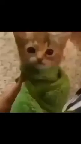 se desaparecio #meme #xd 