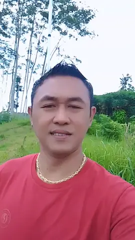 saya tingal berangkat lagi ke mama kota ya pak tukang.