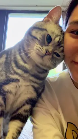 My cat loves me unconditionally🥺#cutecat #catlover #cattiktok #kucinglucu