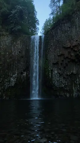 #waterfall #darknaturalism #pacificnorthwest #oregon #natureaesthetic 