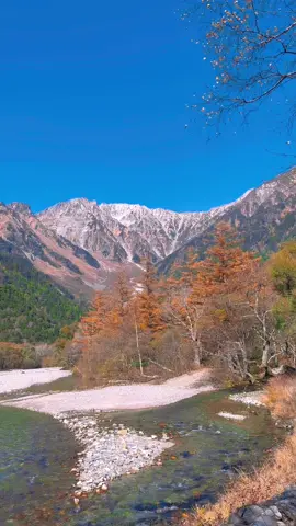 🧡🍁🍂#nakano #kamikochi  #CapCut 
