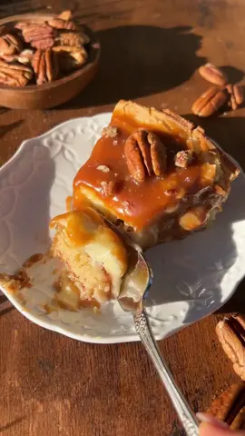 Gooey butter pecan cake ✨ Brown butter cake with a layer of buttered pecans, gooey cream cheese topping & salted caramel sauce. 20/10!! Save for Thanksgiving baking 🤎 #gooeybuttercake #butterpecan #butterpecancake #saltedcaramel #thanksgiving #thanksgivingrecipes #thanksgivingdessert #pecancake #saltedcaramelcake #bakingtiktok #cakesoftiktok #thanksgivingtiktok 