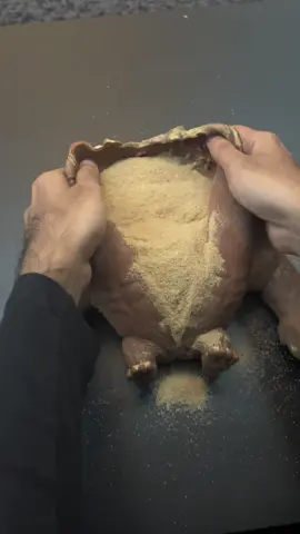 Finally we figure it out what’s inside Monkee 😁 #fyp #monkee #toy #viral 