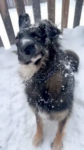 Ohhh the weather outside is frightful ⛄️ #letitsnow 