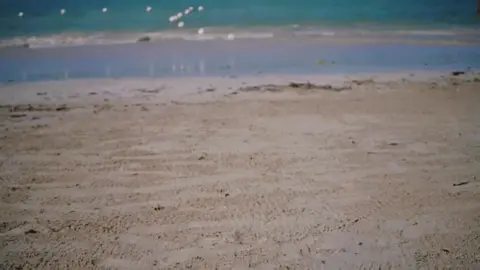 My sister always catches me in the moment ✨ #jamaica#blackgirltravel#vacation#blackgirltiktok 